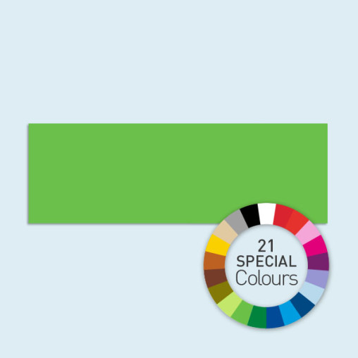 Vollwand Basic/Select 600 x 205 cm, in 21 Sonderfarben erhältlich