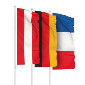 Deutschland Flagge (45 x 30 cm) inkl. Stab, 3er Set - Vispronet