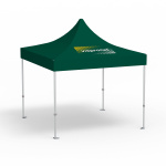 Faltpavillon Premium, 3 x 3 m, grün, Dach mit 1 Logodruck (Seite 1)