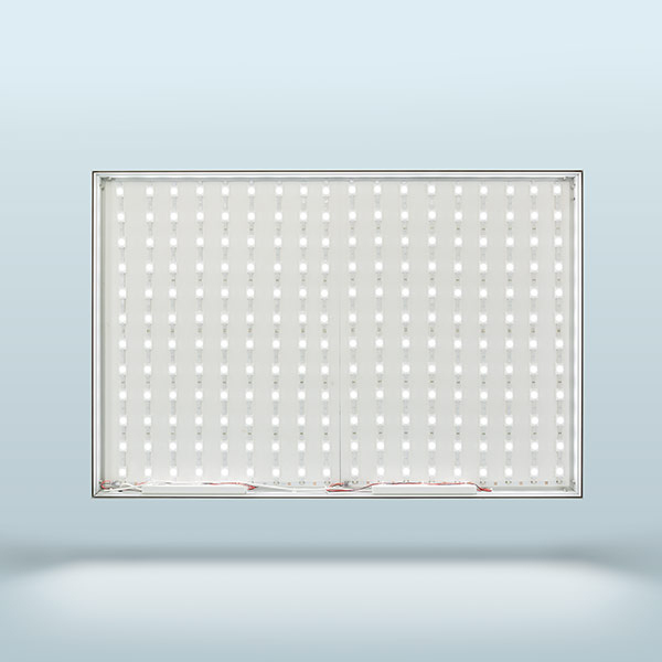 Leuchtkasten Q-Frame® LED, Profil 50 mm, ohne Druckteil
