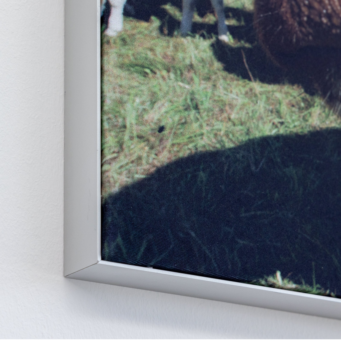 Poster auf Textil mit Wandrahmen Q-Frame®, Profil 15 mm