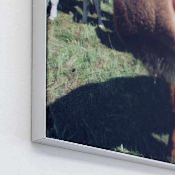 Wandrahmen Q-Frame® im Querformat, Profil 15 mm