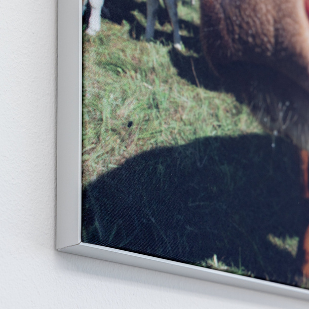 Wandrahmen Q-Frame® im Querformat, Profil 15 mm