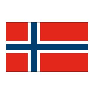 Nationalflagge Norwegen