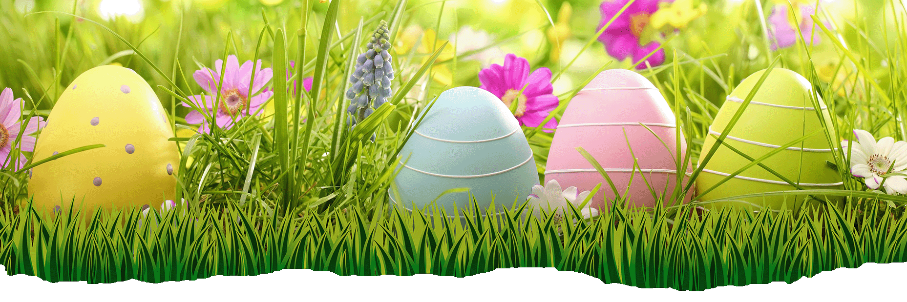 Fahnen in verschiedenen Ausführungen